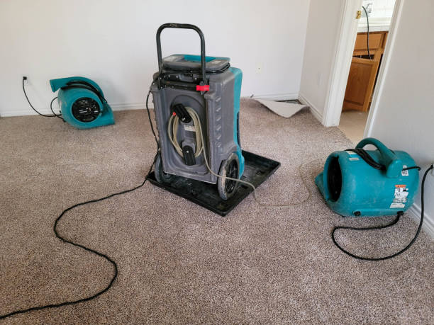 Best Mold removal after water damage  in Morganton, NC