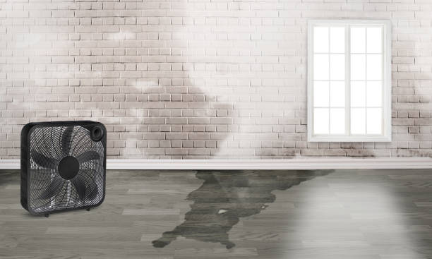 Reliable NC Water damage restoration Solutions