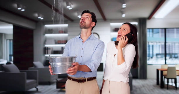 Best Water damage restoration experts  in Morganton, NC