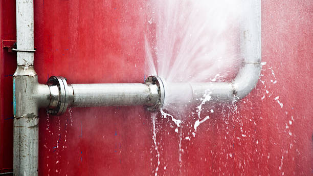 Best Professional water damage repair  in Morganton, NC
